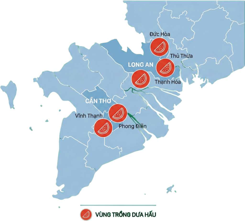 Bản đồ vùng trồng dưa hấu