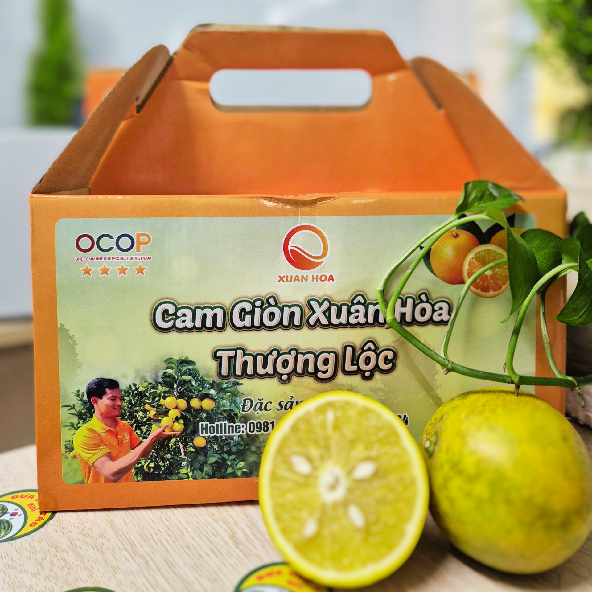Cam Giòn Thượng Lộc