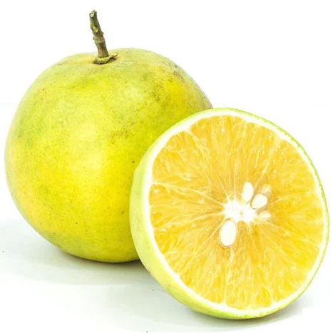Cam Xoàn