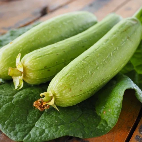 Mướp hương RH
