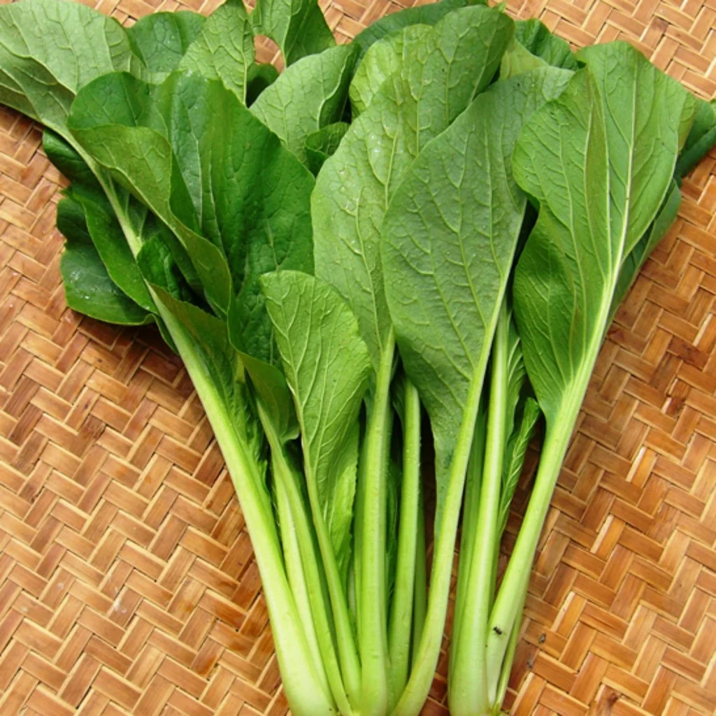 Cải xanh RH (túi)