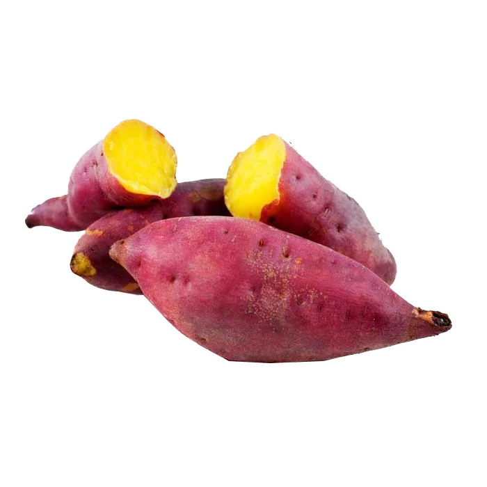 Khoai lang giống Nhật Đà Lạt